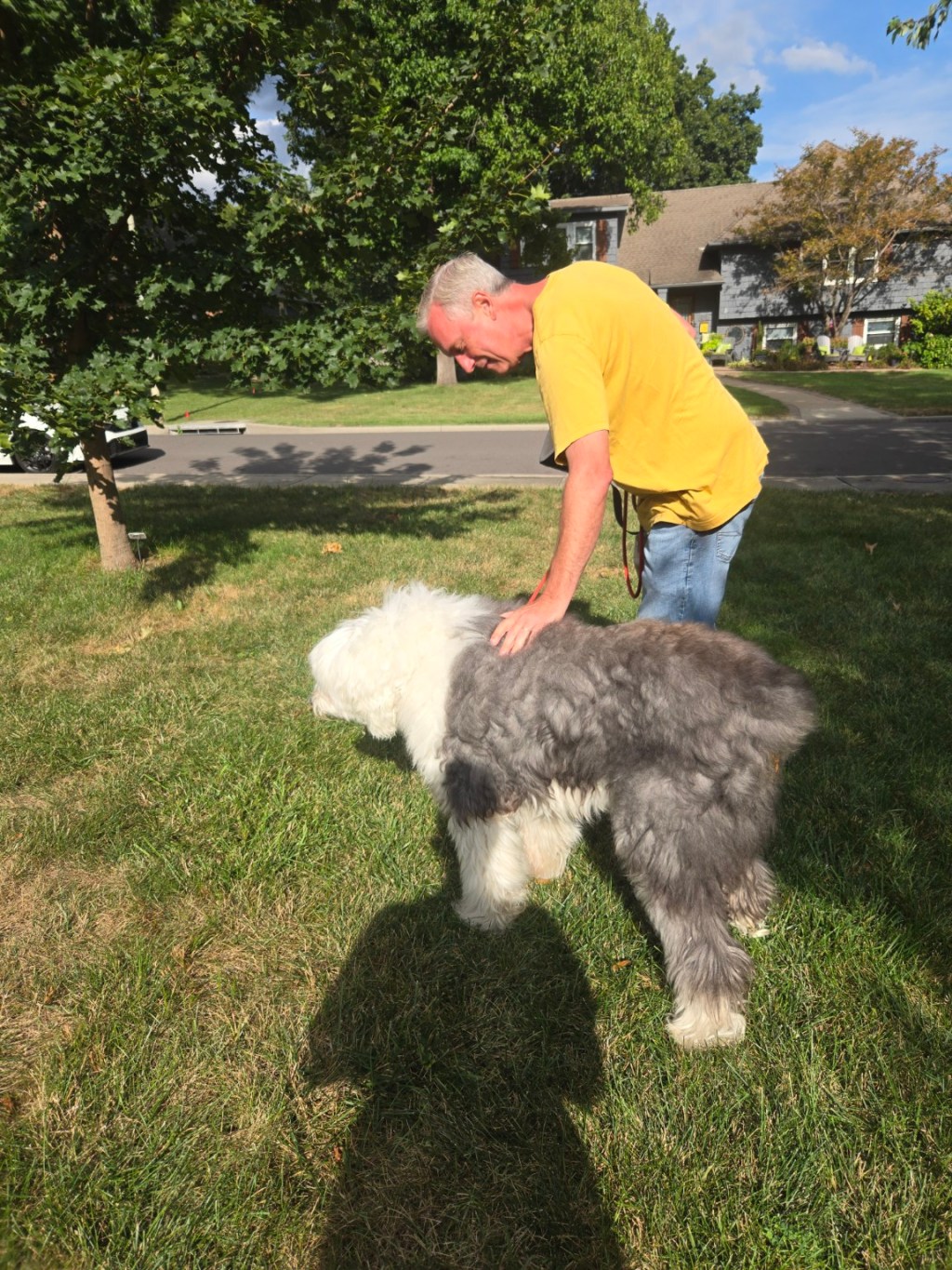 Ken giving a large fluffy dog individual attention outdoors