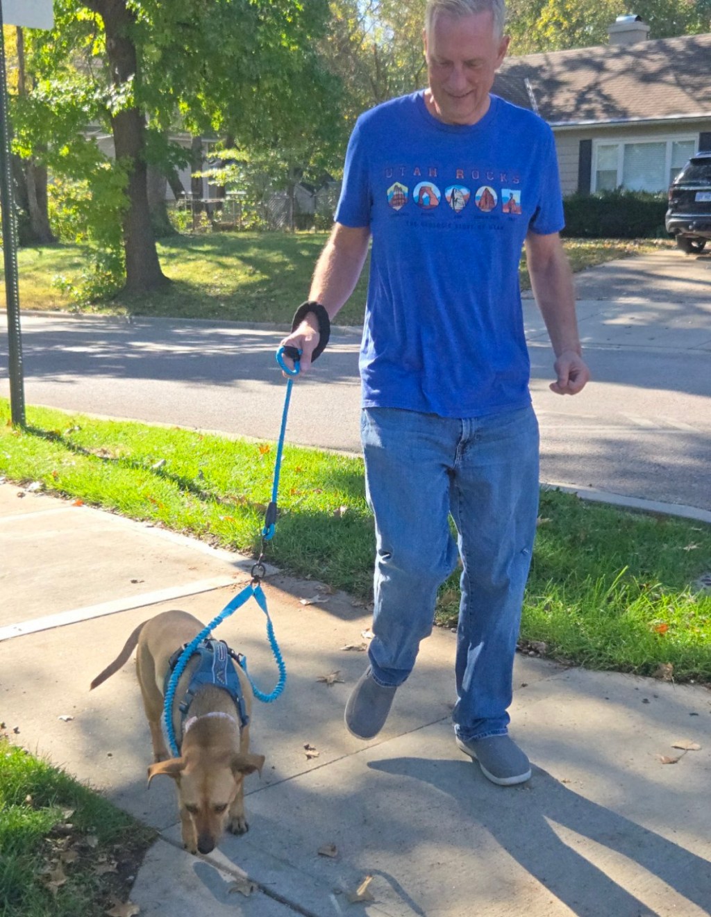 Ken walking a small brown dog with a blue two-point leash