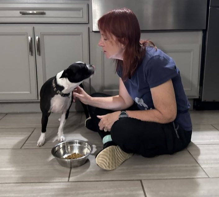 A woman kneeling on the floor interacts with a small black and white dog beside a food bowl.